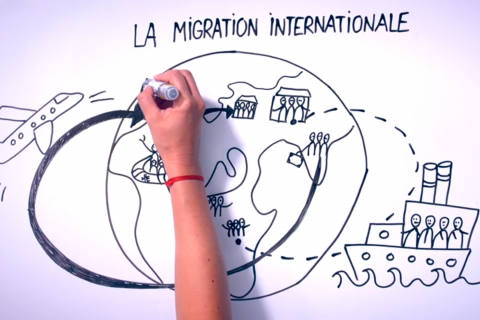 Les catégories de migrations