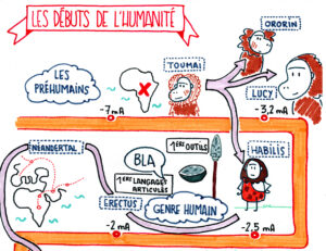 Les débuts de l'Humanité