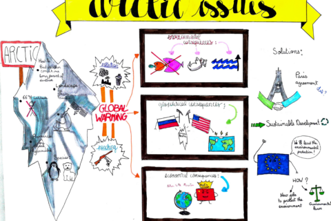 Arctic Issues